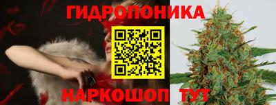 дурь Будённовск