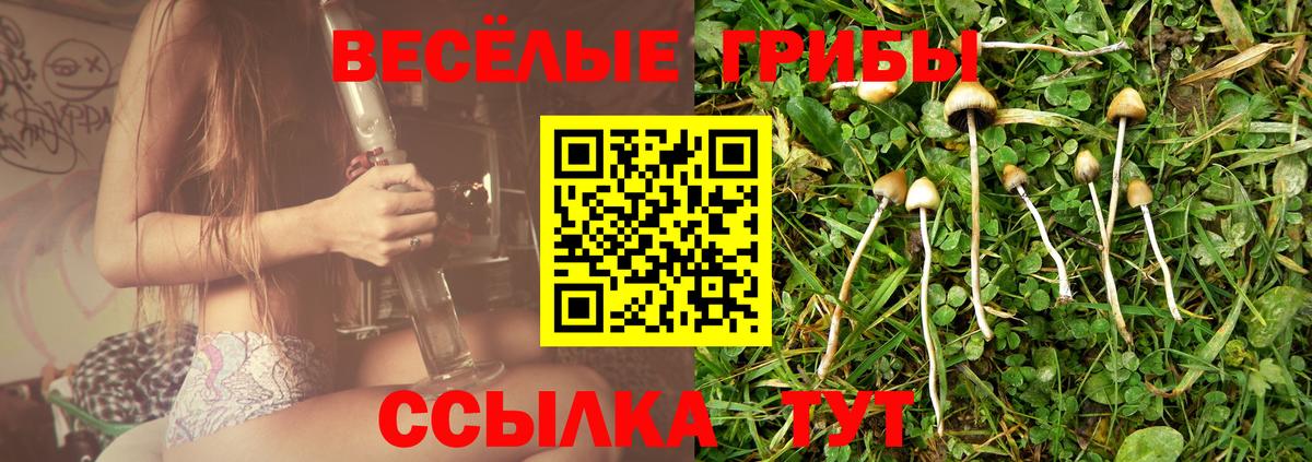 Галлюциногенные грибы мицелий  Псилоцибиновые грибы прущие грибы  Вход с VPN  Нягань 